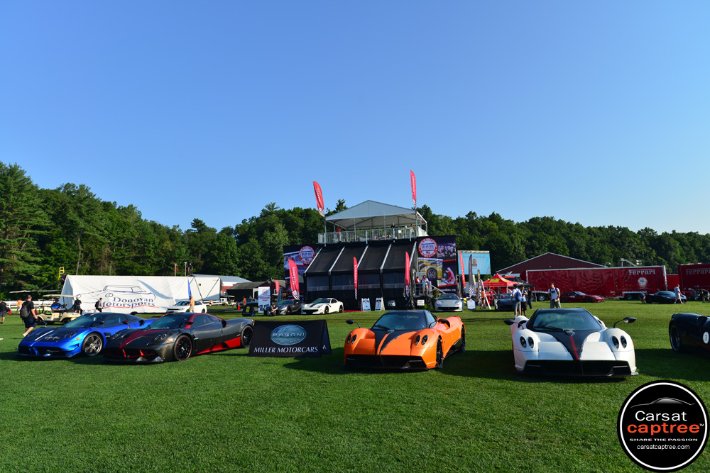 D8E_4602 copy.jpg